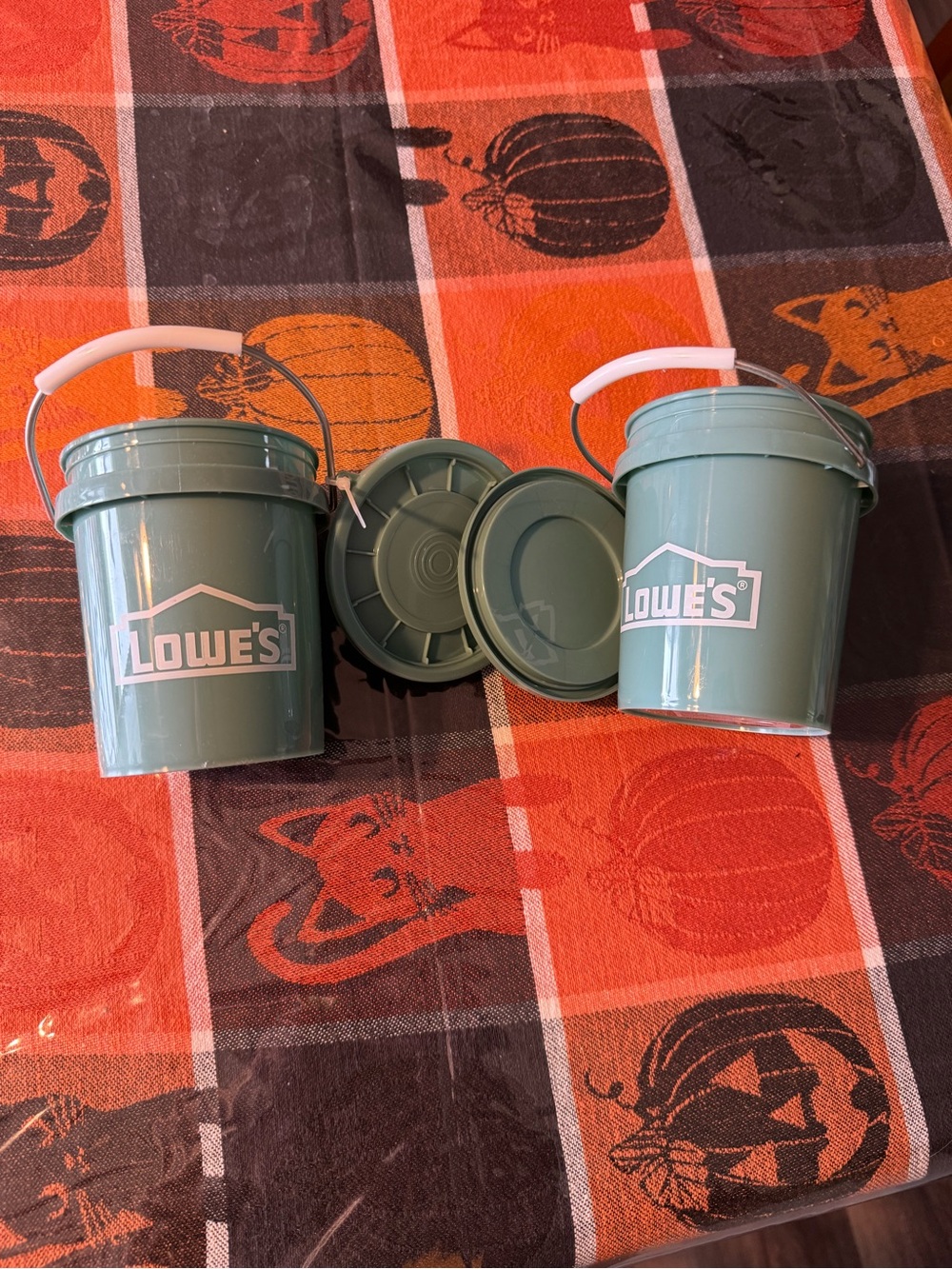 Set of 2 Lowe’s teal mini buckets with lids, so cute!!